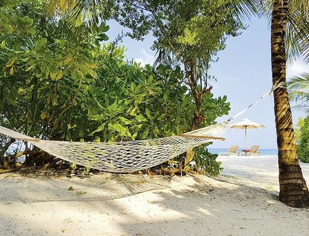 The Barefoot Eco Hotel