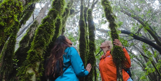 Zwei Frauen in Wanderkleidung stehen in einem dichten, grünen Wald. Sie Blicken nach oben und halten beide einen mit Moos bedeckten Stamm fest.