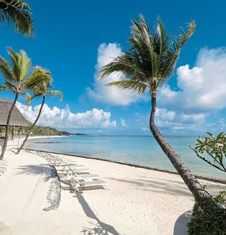 Ambre Mauritius