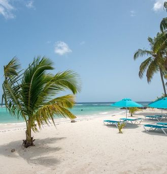 The Sands Barbados