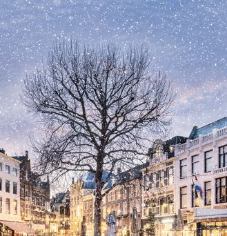 Inmitten charmanter Häuserfassaden, welche weihnachtlich erstrahlen, befindet sich ein kahler Baum. In der Luft schweben Schneeflocken.