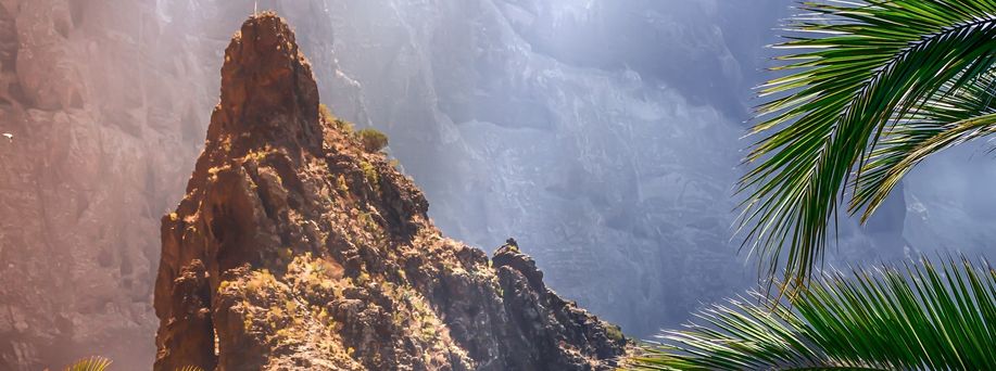 Eine karge Felslandschaft mit tiefen Schluchten, im rechten Bildrand Palmenblätter.