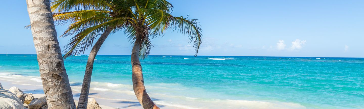 Ein weißer Sandstrand mit tropischen Palmen am türkis-blauen Wasser