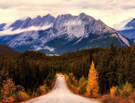 Ein Pärchen fährt in einem Oldtimer Cabrio eine Landstraße entlang und die Beifahrerin schwingt eine USA Flagge im Wind hinter sich mit.