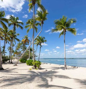 Bahia Principe Escape Bouganville
