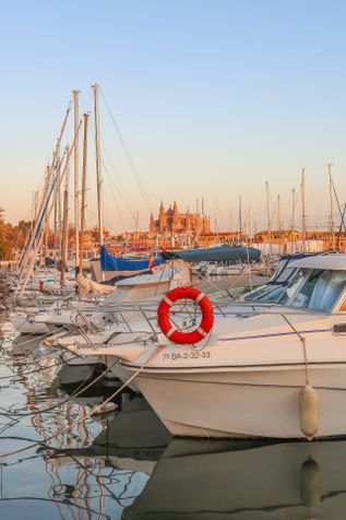Die Abendsonne wirft ein tolles Licht auf die Kathedrale von Palma. Im Vordergrund sieht man viele Boote und Schiffe, die im Hafen liegen