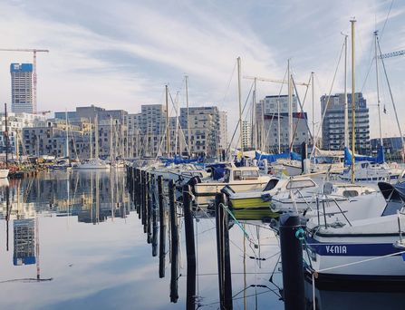 Ein Hafen mit vielen Seegelbooten erstreckt sich am Ufer, welches von vielen Hochhäusern geprägt ist.