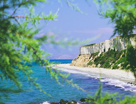 Eine weiße Bucht mit hellen Steinfelsen erstreckt sich am tiefblauen Meer. Im Vordergrund grüne Pinienartige Bäume.