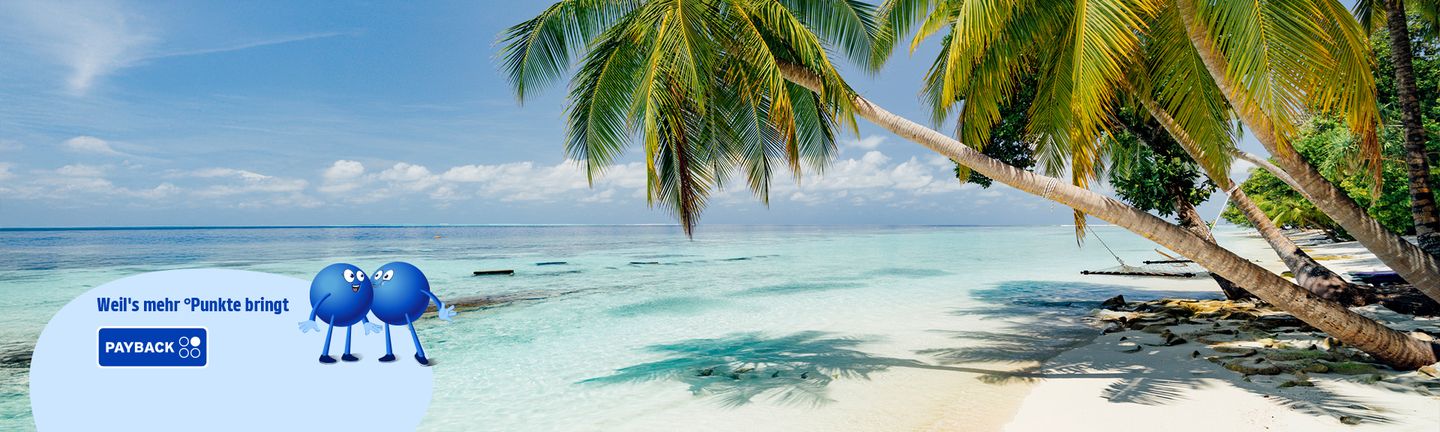 Ein traumhafter, karibischer, weißer Sandstrand mit Palmen die sich über das türkisblaue Wasser biegen. Unten links befindet sich eine blaue PAYBACK Bühne mit zwei blauen Pointees, die sich küssen. Auf der blauen Fläche steht eine Aufschrift "Weil's mehr °Punkte bringt".