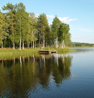 Ein stiller, grünlicher See am Ufer ein Holzsteg und grüne Bäume