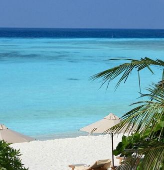 The Barefoot Eco Hotel