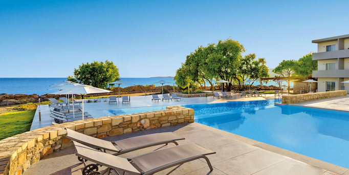 Landschaft mit lila Blumen und Sonnenuntergang im Hintergrund.