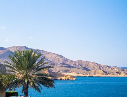 Eine Berglandschaft am blauen, glatten Meer mit orientalischen Palmen