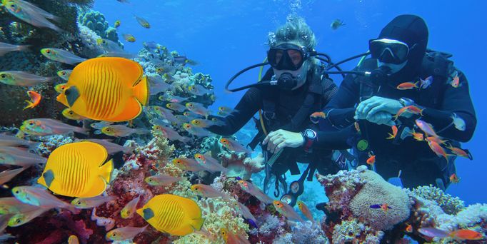 Zwei Taucher mit Ausrüstung befinden sich an einem bunten Korallenriff mit vielen Fischen.