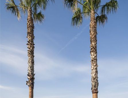 Voyage Belek Golf & Spa