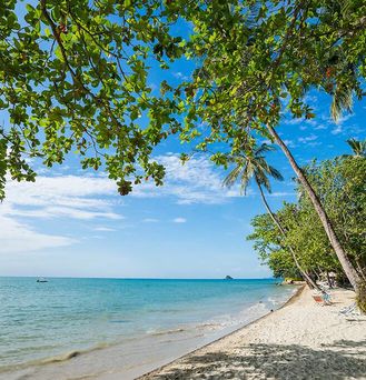 Sylvan Koh Chang