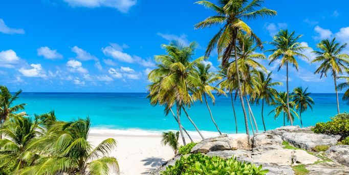 Ein weißer, karibischer Strand mit Palmen am türkis-blauen Meer