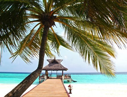 Der dunkel Nachthimmel wird von grünen Polarlichtern durchzogen. Eine Person steht, mit dem Rücken zugewandt und Wanderstöcken im weißen Schnee. Dahinter schneebedeckte Berge.