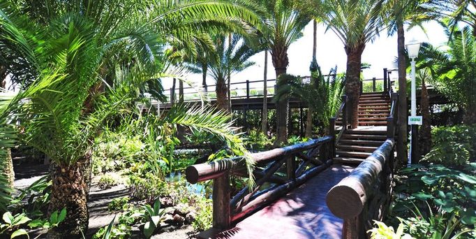 Hotel Parque Tropical