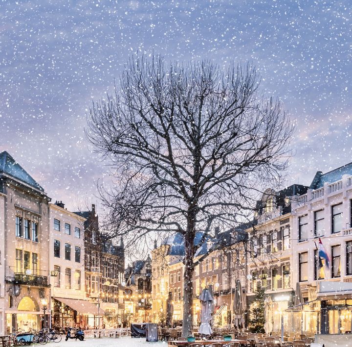 Inmitten charmanter Häuserfassaden, welche weihnachtlich erstrahlen, befindet sich ein kahler Baum. In der Luft schweben Schneeflocken.