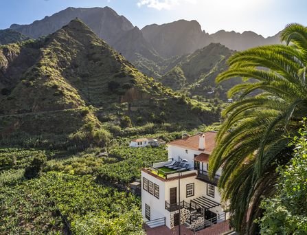 Eine grüne Berglandschaft und auf einem begrünten Feld steht ein hübsches Haus, im Vordergrund eine Palme..