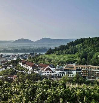 Steigenberger Hotel & Spa Krems