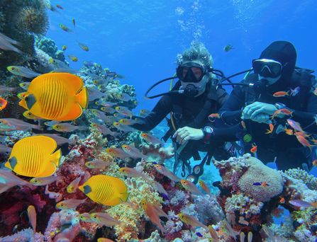 2 Taucher schwimmen durch das blaue Meer mit bunten Fischen und Korallen.