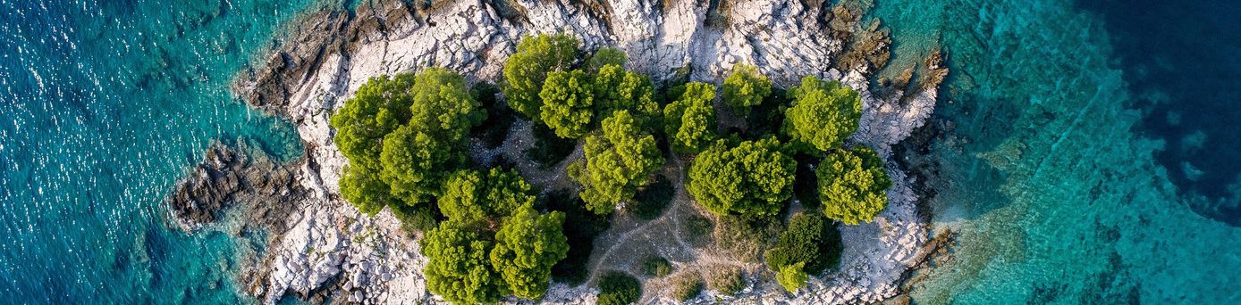 Luftaufnahme vom kristallklaren türkisen Meer und eine zentral platzierte karge Insel mit einzelnen Bäumen darauf.