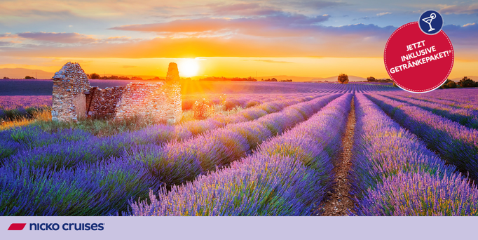 Landschaft mit lila Blumen und Sonnenuntergang im Hintergrund.