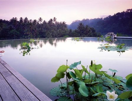 Four Seasons Resort Bali at Sayan