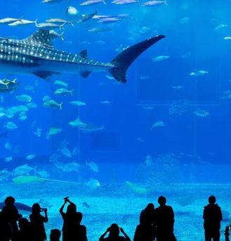 Chelsea Hotel Toronto