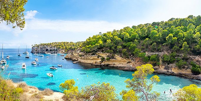 Eine mediterrane Bucht zwischen begrünten Felsen mit vielen Booten