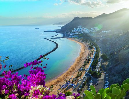 Eine Luftaufnahme von einem breiten Sandstrand an der bergigen Küste Teneriffas. Im vorderen Bildausschnitt pinke Blumen.