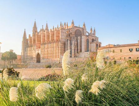 Die La Seu Kathedrale in Palma de Mallorca ragt imposant im blauen Himmel empor.