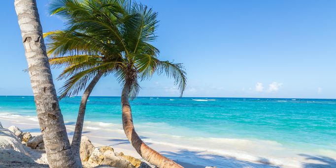 An einem weißen Sandstrand mit türkis-blauem Wasser steht eine krumm gebogene Kokospalme.