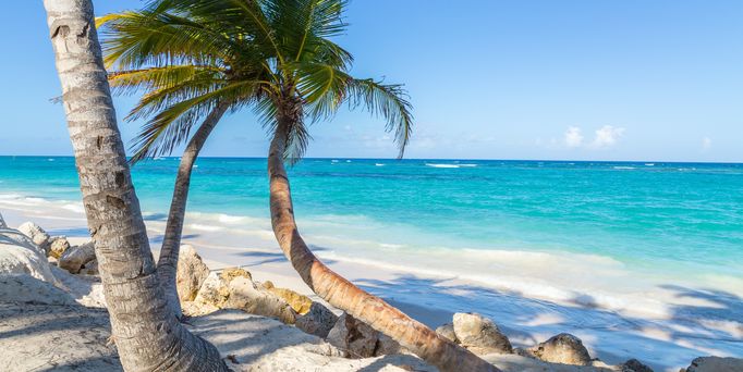 DomRep: Ein weißer Strand mit einer tropischen Palme im Wind