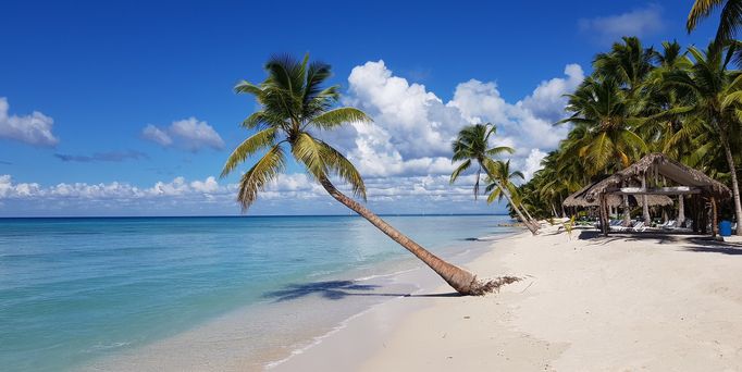 An einem weißen, menschenleeren Sandstrand steht eine sehr zum Wasser hingebogene Palme. Im Hintergrund weitere Palmen.