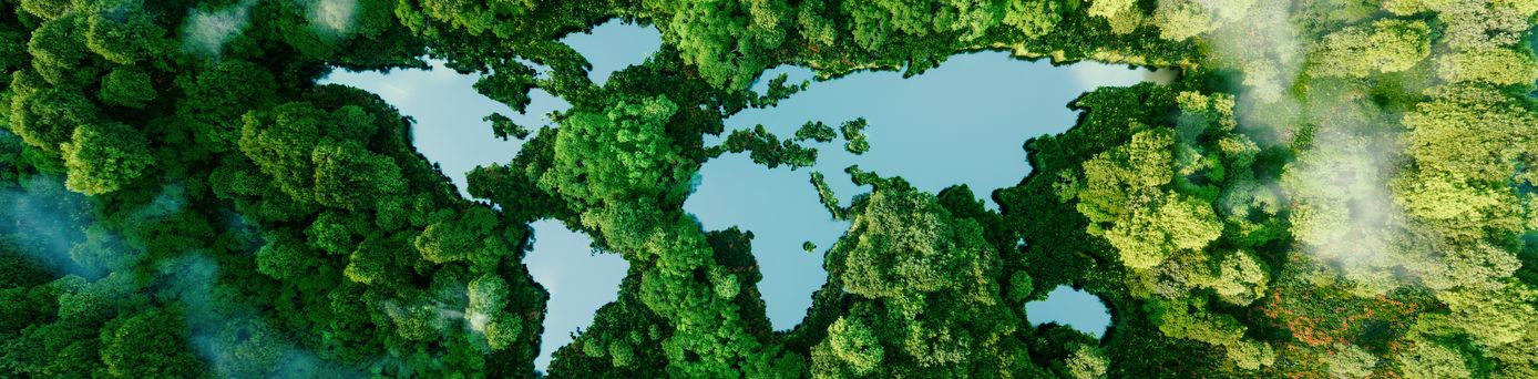 Luftaufnahme von oben vom Regenwald. Wasser ist so geformt wie die Umrisse der Welt.
