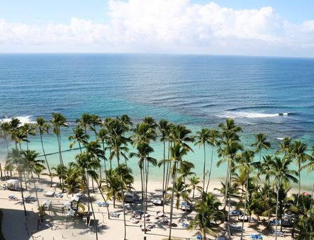 Ein mit Palmen gesäumter weißer Sandstrand am türkis blauen Meer.