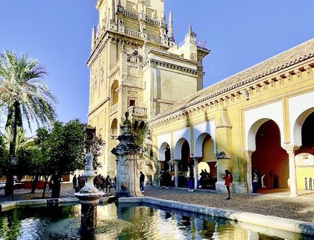 Belebter Platz mit mehreren Palmen, einem Brunnen und umliegenden historischen Gebäuden unter blauem Himmel.