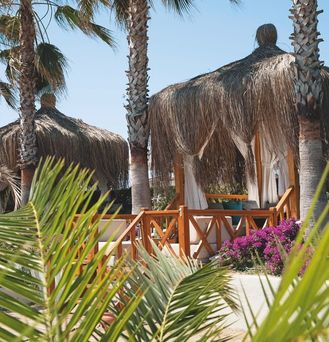 Paloma Oceana