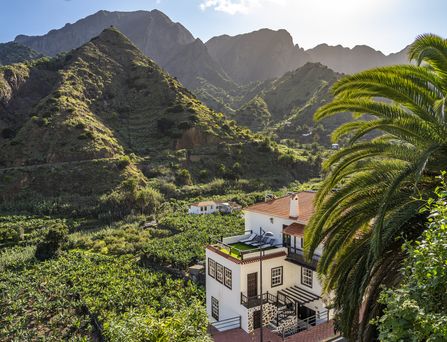 Eine grüne Berglandschaft und auf einem begrünten Feld steht ein hübsches Haus, im Vordergrund eine Palme..