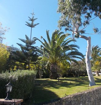 La Palma Romantica & Casitas Apartments