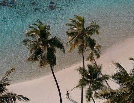 Sun Siyam Vilu Reef