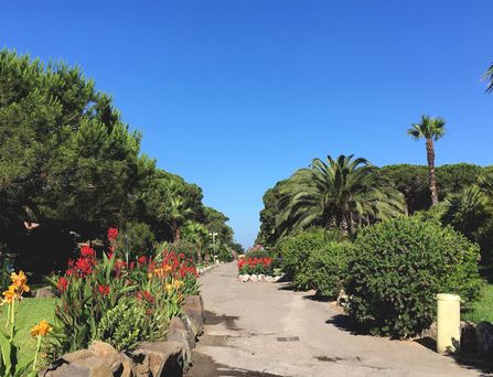 Blick von einem Felsenplateau auf einen tiefblauen Fjord, umgeben von bewaldeten Bergen unter blauem Himmel mit Wolken.