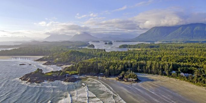 Reisetrends 2026: Ein Strand an einem grünen Nadelwald, im Hintergrund Berge