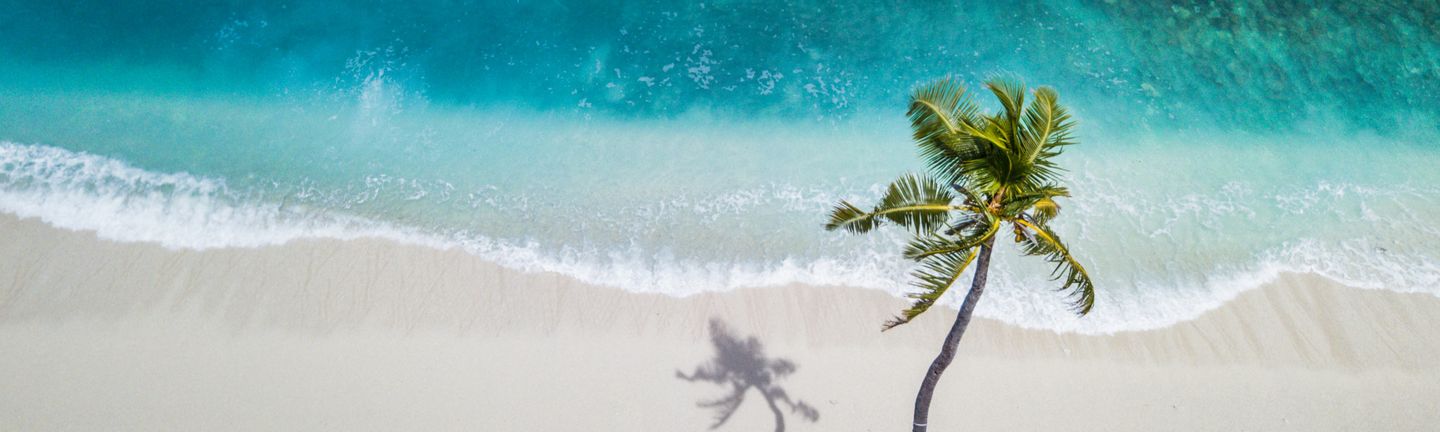 Strandurlaub: Ein menschenleerer, weißer, feinsandiger Strand mit einer tropischen Palme