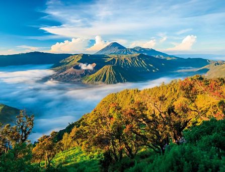 Belebter Platz mit mehreren Palmen, einem Brunnen und umliegenden historischen Gebäuden unter blauem Himmel.