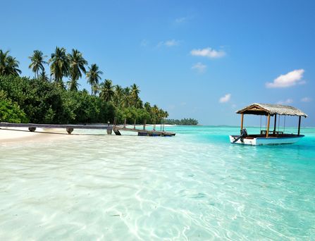 Glasklares, türkises Wasser, darauf ein langer Holzsteg und ein kleines Boot. Am Strand ragen saftgrüne Pflanzen und Palmen hervor