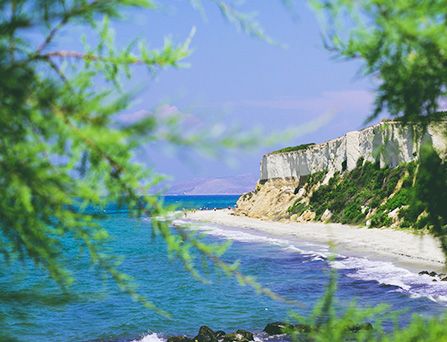 Eine weiße Bucht mit hellen Steinfelsen erstreckt sich am tiefblauen Meer. Im Vordergrund grüne Pinienartige Bäume.